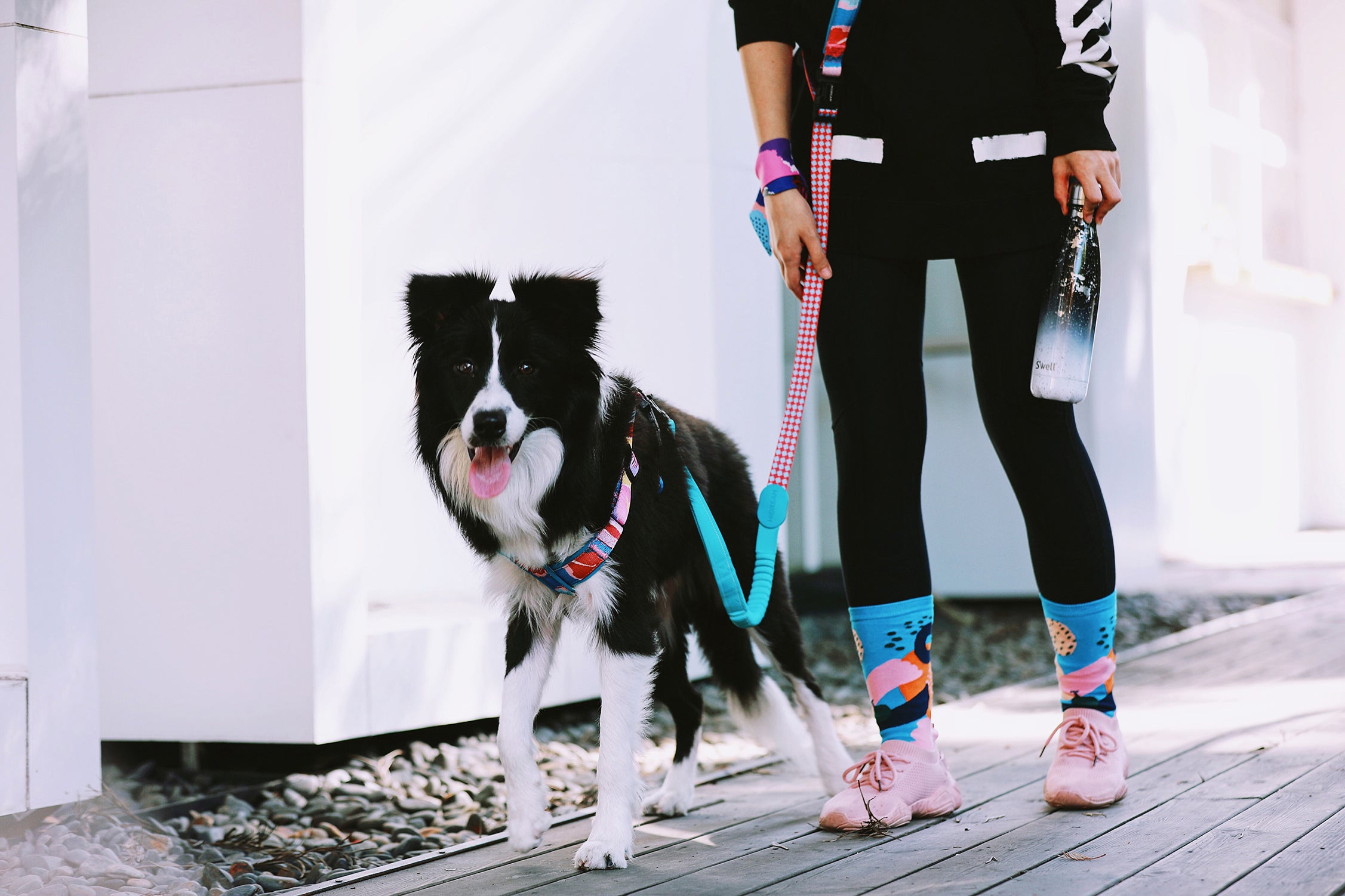 Colorful PRO Series - Multi functional Buffer Traction Rope