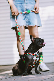 Colorful PRO Series - Multi functional Buffer Traction Rope