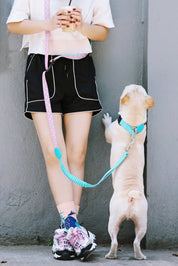 Colorful PRO Series - Multi functional Buffer Traction Rope