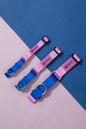 Rainbow Series - Color Contrasting Buffer Collar