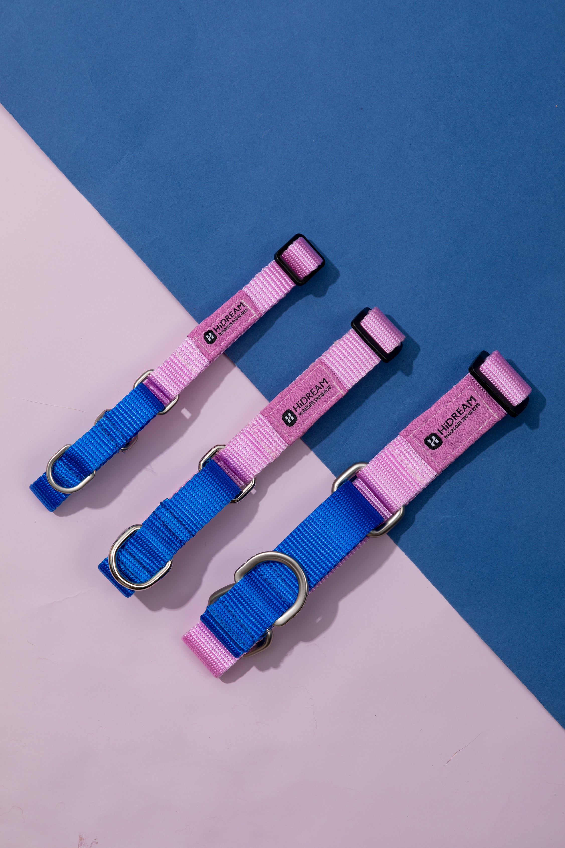 Rainbow Series - Color Contrasting Buffer Collar