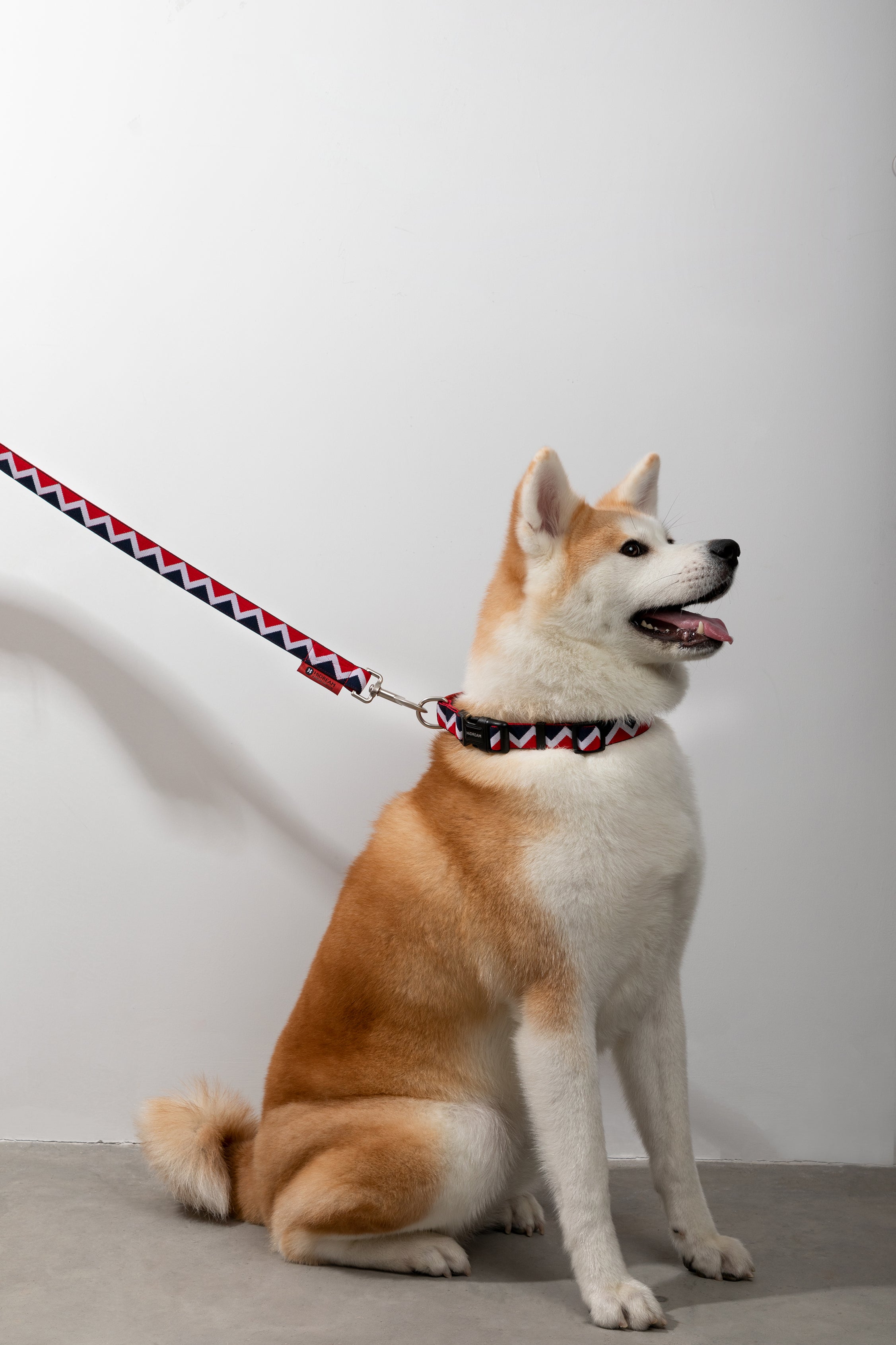 Rainbow Series - Collar
