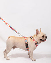 Vest Style Lightweight Chest Harness