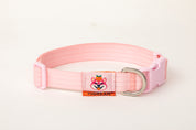 Pet Walk Dashun Collar