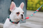 Colorful Series - Adjustable Traction Rope