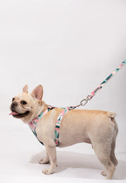 Castle Series - Soft Handle Traction Rope in New Colors