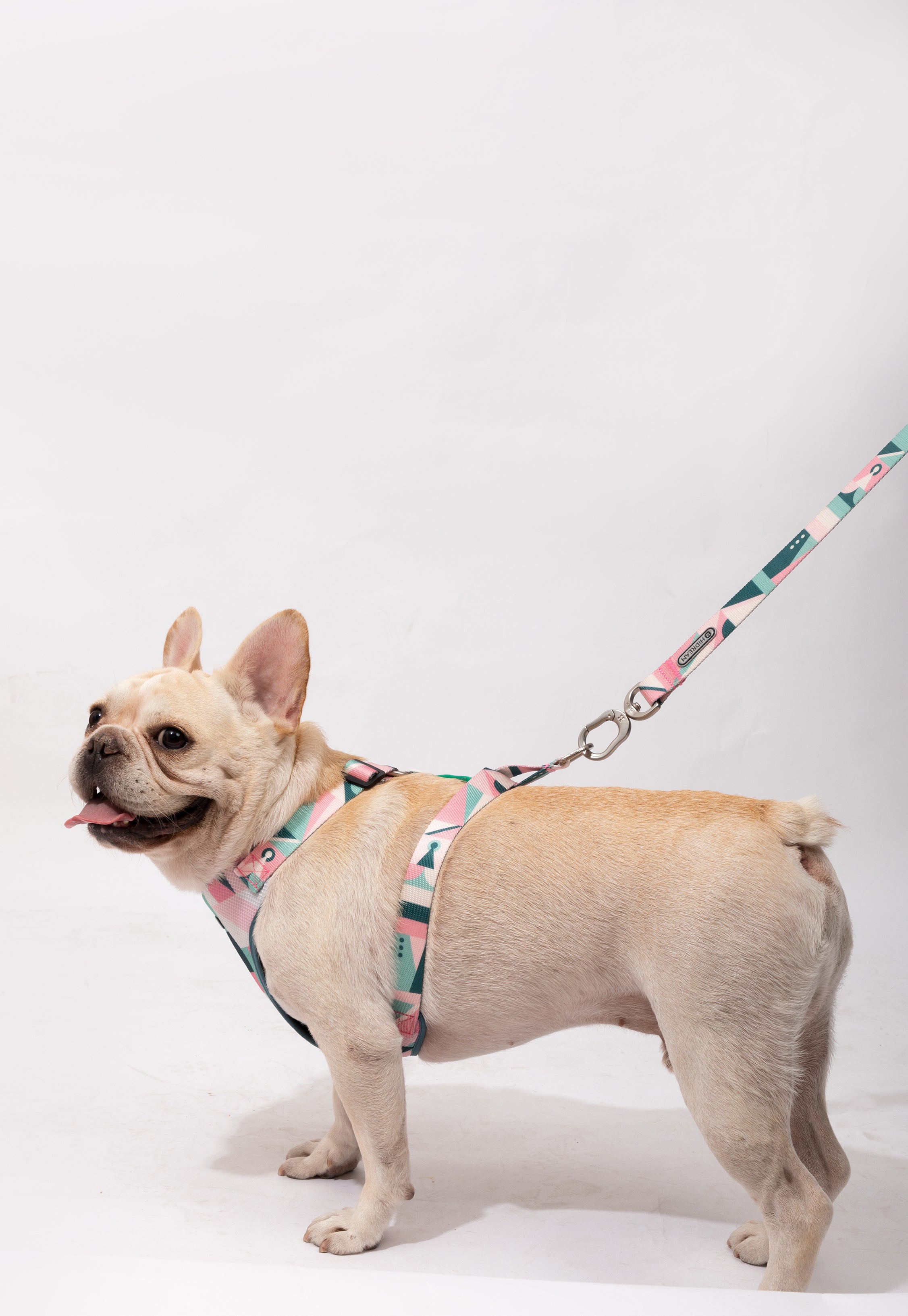 Castle Series - Soft Handle Traction Rope in New Colors