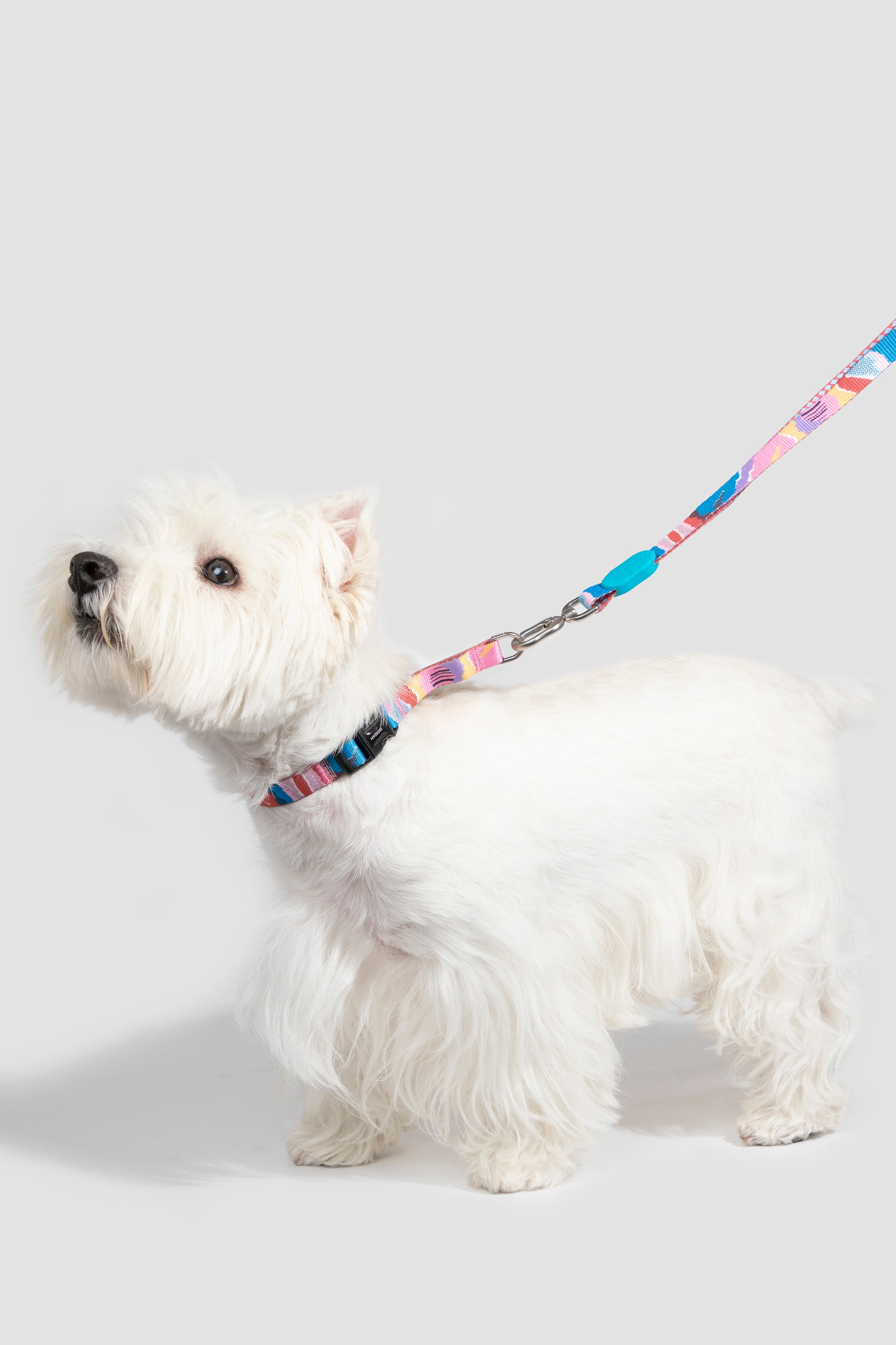 Colorful PRO Series - Half P Explosion proof Punch Collar S Size