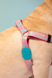 Colorful Series - Y-shaped Chest and Back