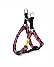 Rainbow Series Y-Shaped Chest and Back Harness
