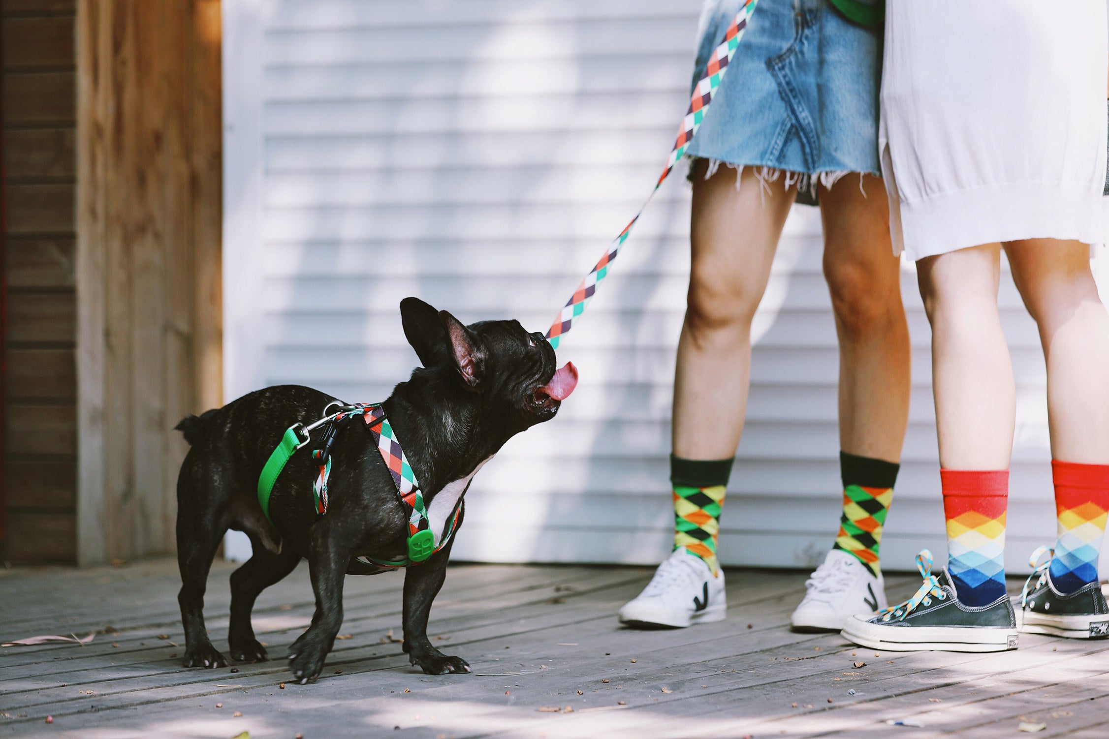 Colorful PRO Series - Multi functional Buffer Traction Rope