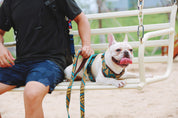 Castle Series - Soft Handle Traction Rope Old Color