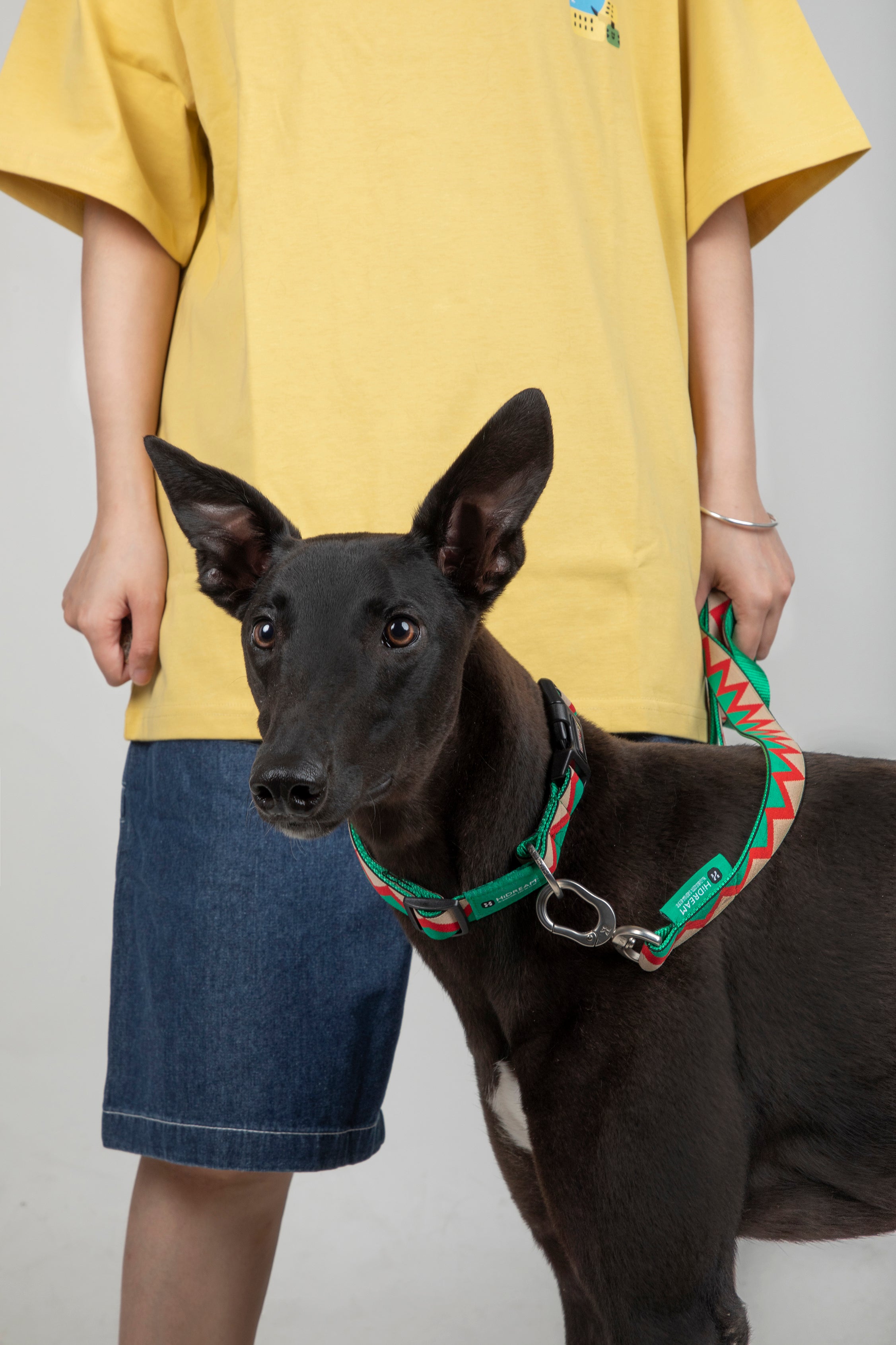Rainbow Series - Collar