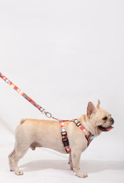 Castle Series - Soft Handle Traction Rope in New Colors