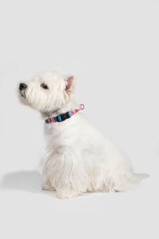 Colorful PRO Series - Half P Explosion proof Punch Collar S Size