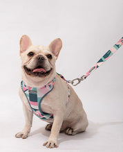 Vest Style Lightweight Chest Harness