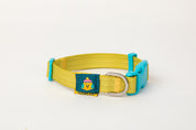 Pet Walk Dashun Collar