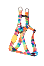 Colorful Series - Y-shaped Chest and Back