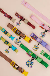 Pet Walk Dashun Collar