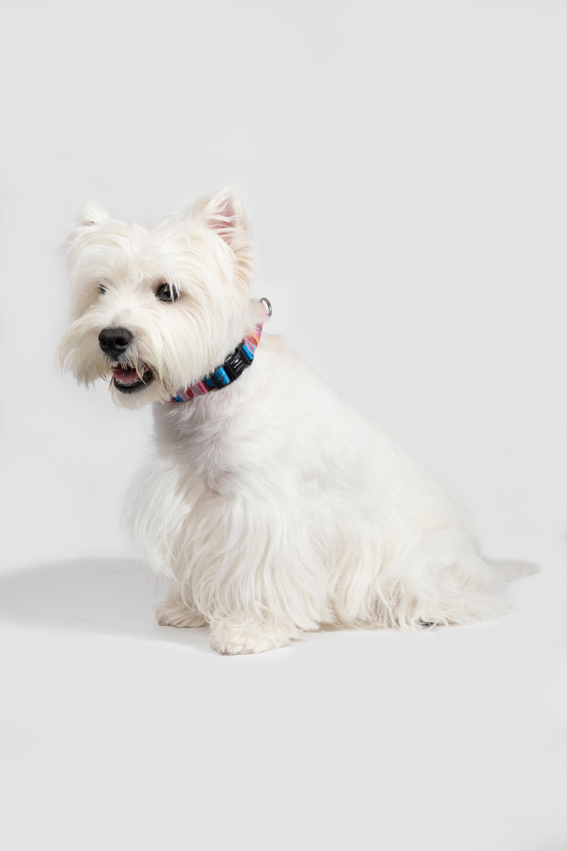 Colorful PRO Series - Half P Explosion proof Punch Collar S Size