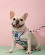Vest Style Lightweight Chest Harness