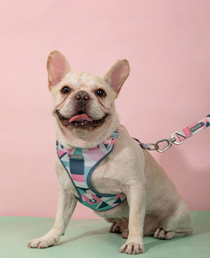 Vest Style Lightweight Chest Harness