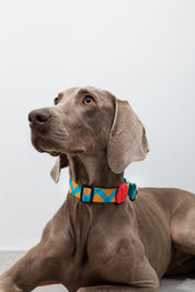 Colorful PRO Series - Half P Explosion proof Punch Collar