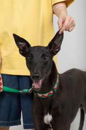 Rainbow Series - Collar