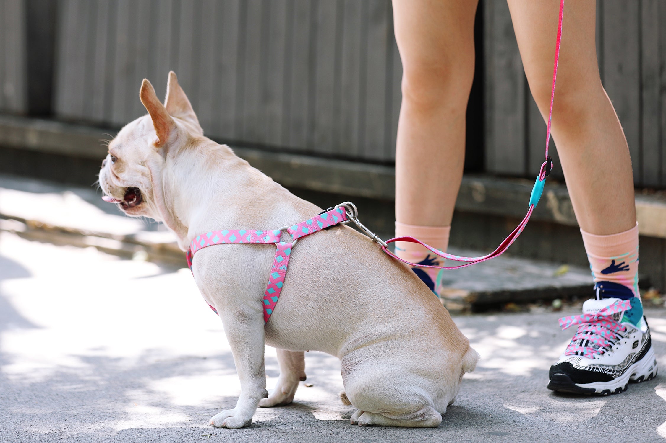 Colorful Series - Adjustable Traction Rope
