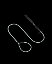 Pawsome Control Leash
