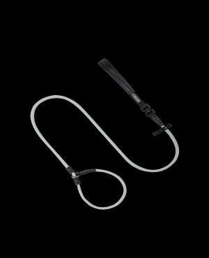 Pawsome Control Leash