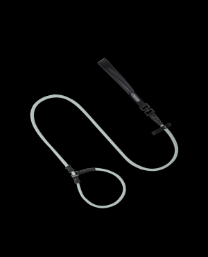 Pawsome Control Leash