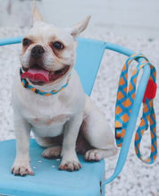 Aloha Paws Collar
