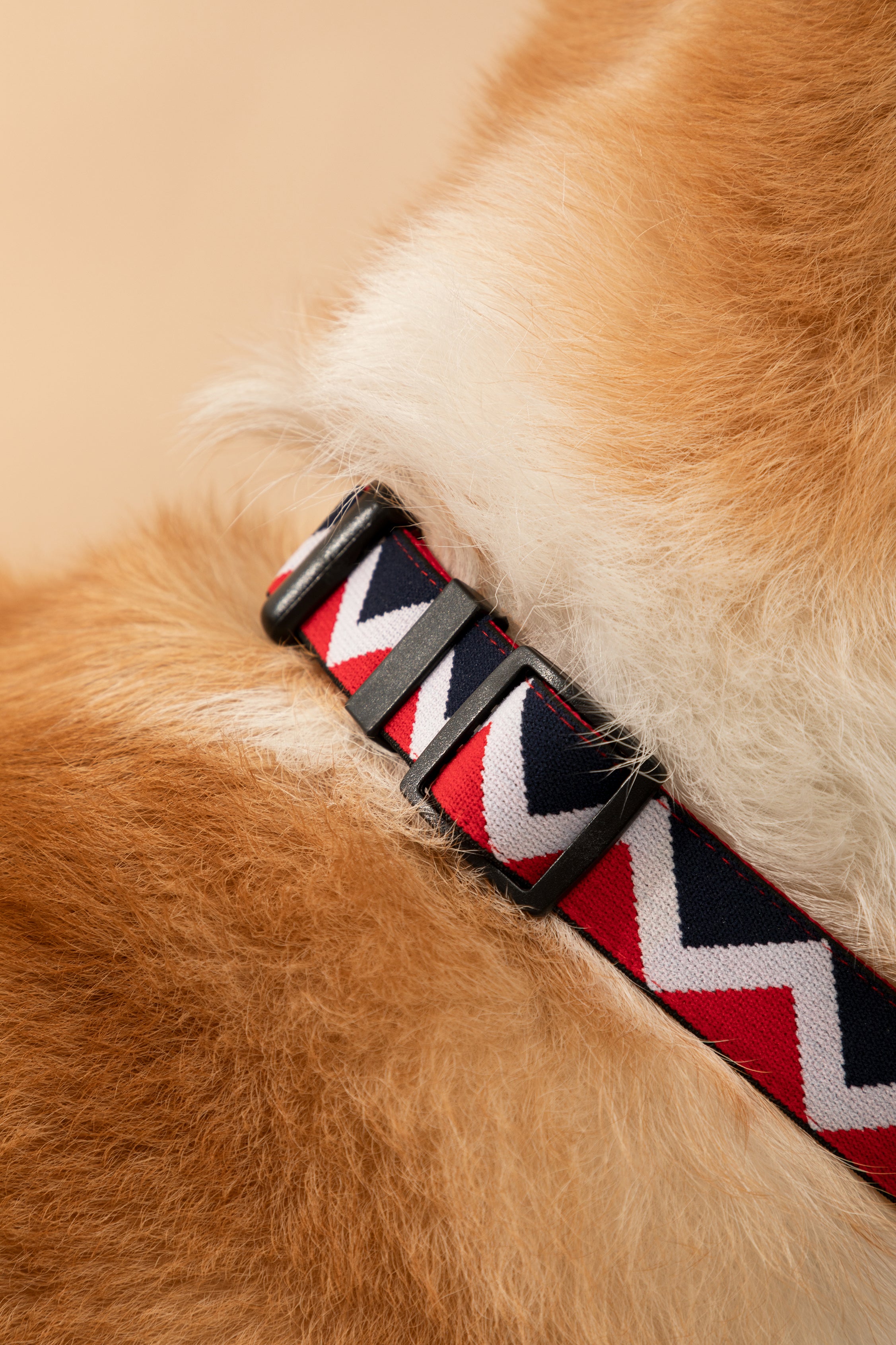Rainbow Series - Collar
