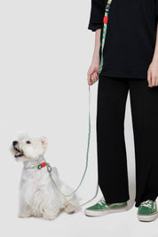 Colorful PRO Series - Half P Explosion proof Punch Collar S Size