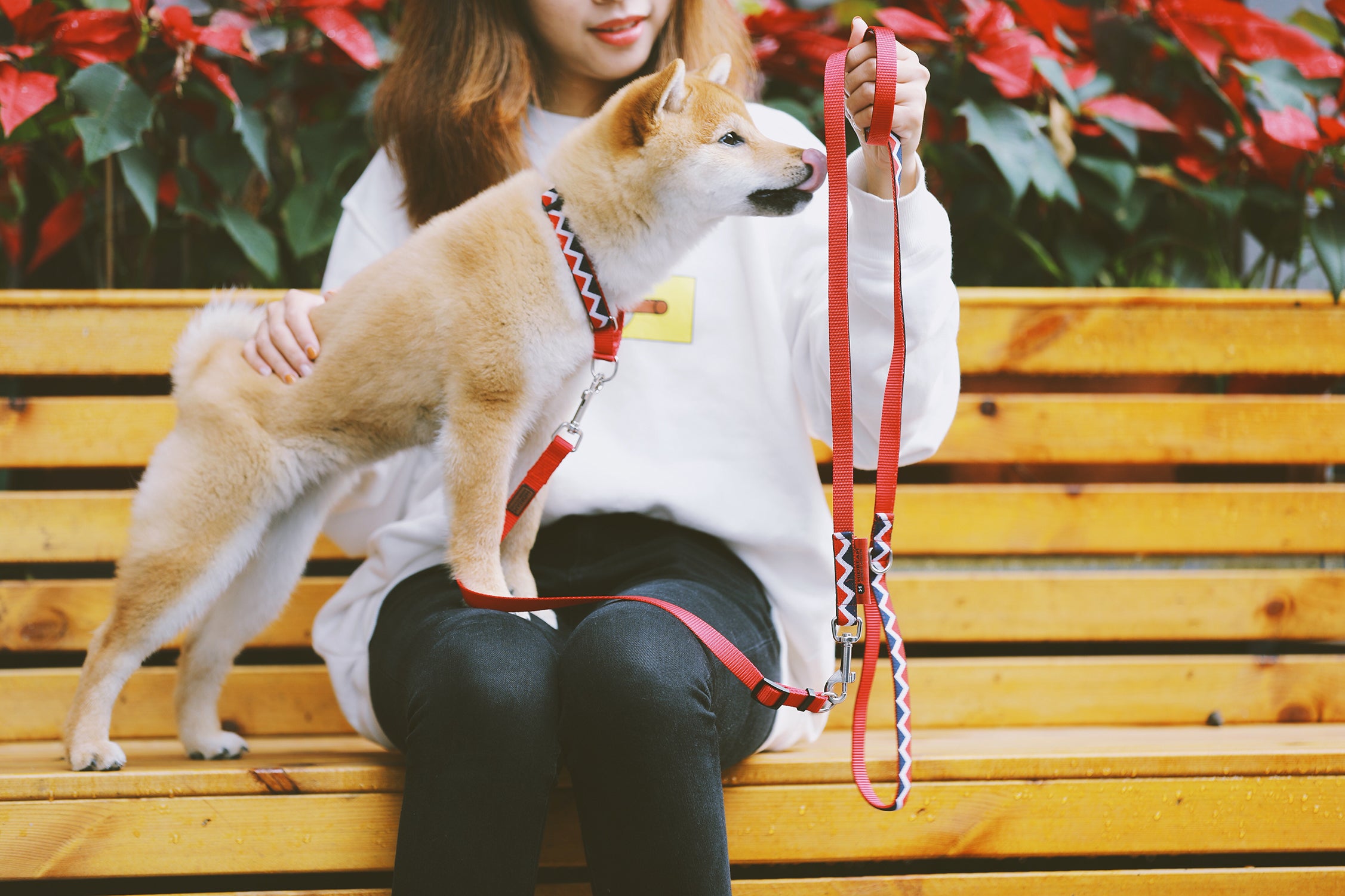 Rainbow Series - Multi functional Safety Strap