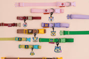 Pet Walk Dashun Collar