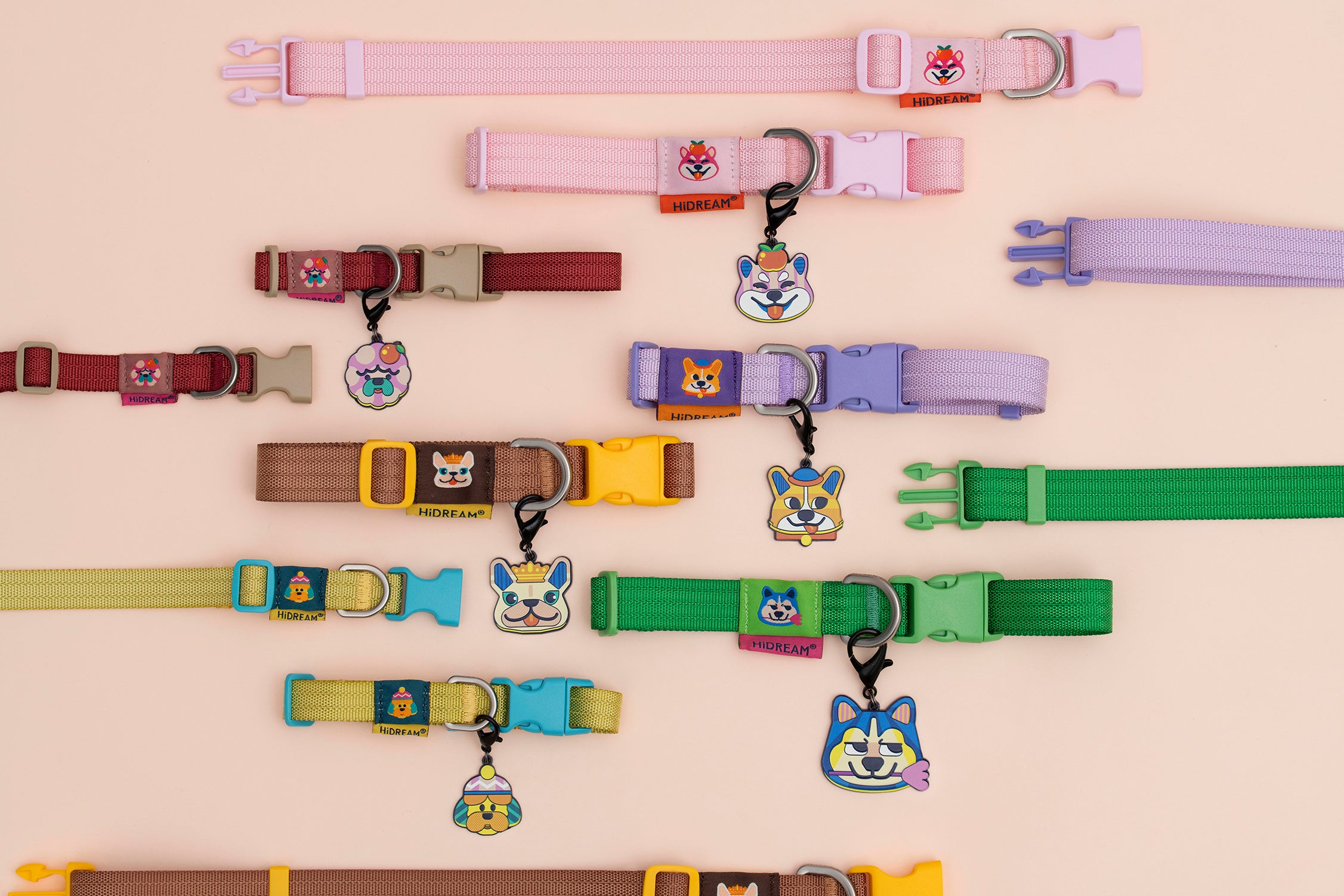 Pet Walk Dashun Collar