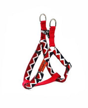 Rainbow Series Y-Shaped Chest and Back Harness