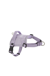 Valley series explosion-proof punching speed through dog chest and back