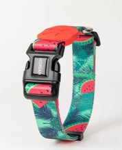 Aloha Paws Collar
