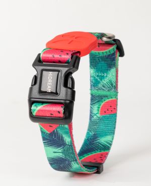 Aloha Paws Collar