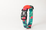 Colorful Series - Collar