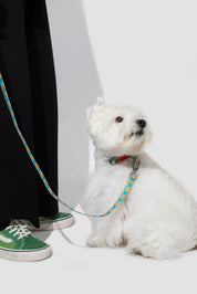 Colorful PRO Series - Half P Explosion proof Punch Collar S Size