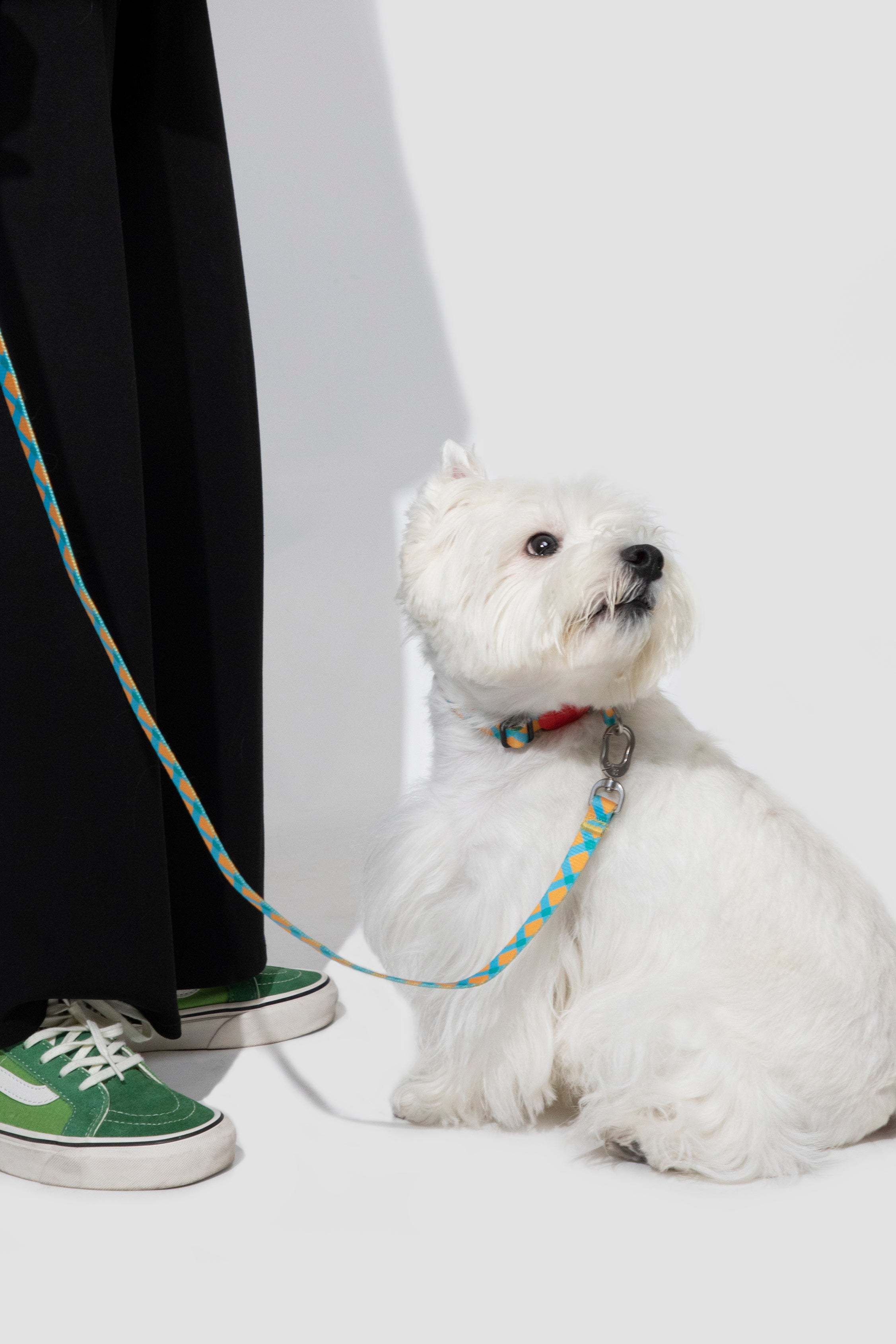 Colorful PRO Series - Half P Explosion proof Punch Collar S Size