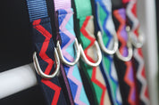 Rainbow Series - Y-shaped Chest and Back+Traction Set