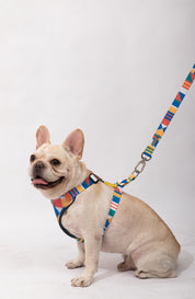 Castle Series - Soft Handle Traction Rope in New Colors