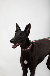 Rainbow Series - Collar