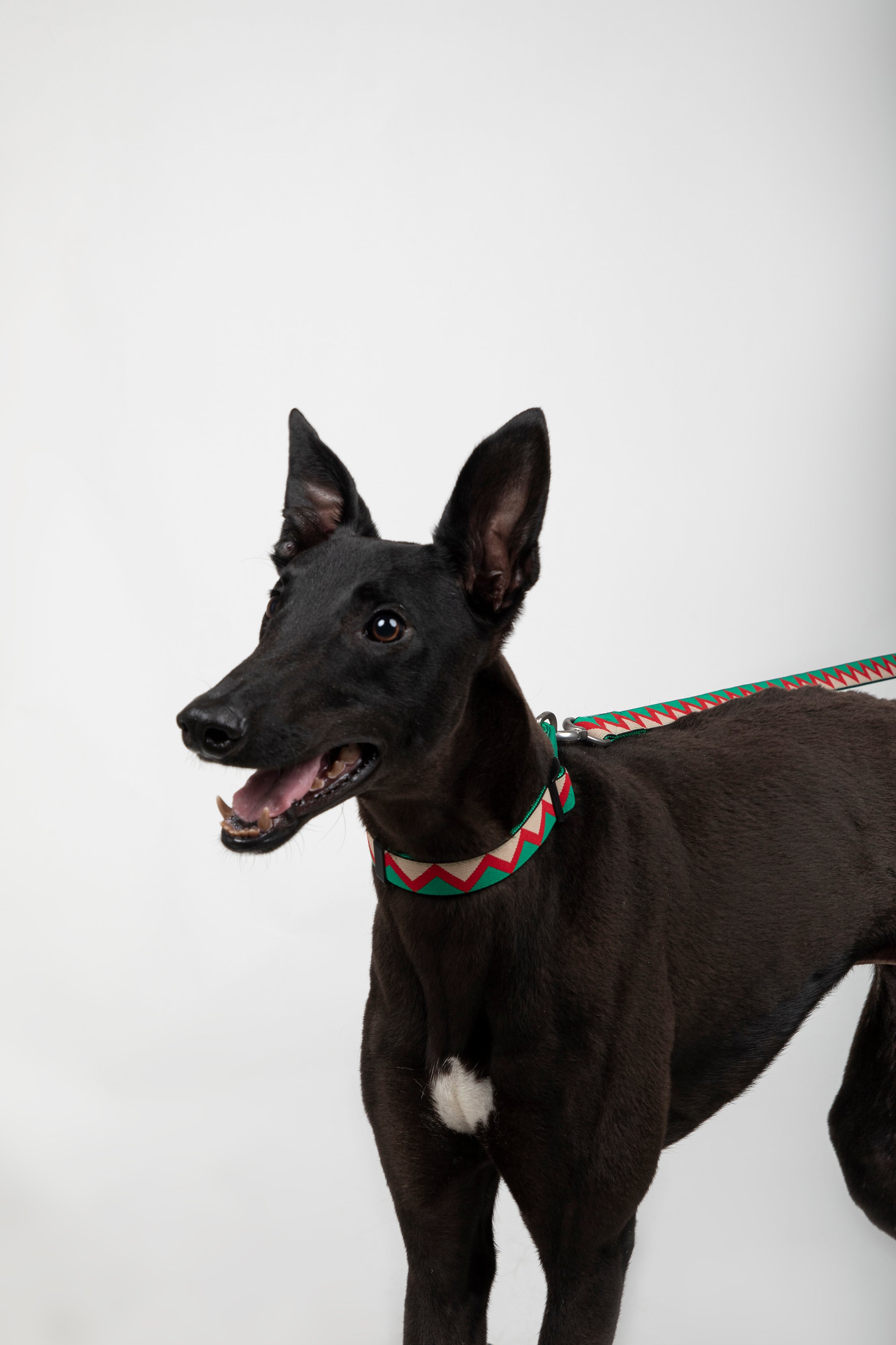 Rainbow Series - Collar