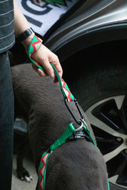 Rainbow Series - Multi functional Safety Strap